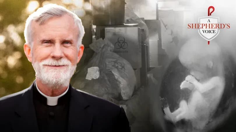 He who hath the Son hath life: the Gospel against the culture of death