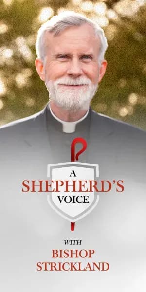 A Shepherd's Voice