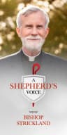 A Shepherd's Voice