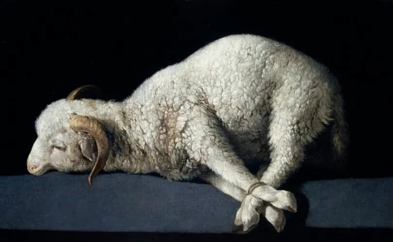 Passion Sunday: Jesus is the Lamb whose sacrifice is the never-failing source of New Life