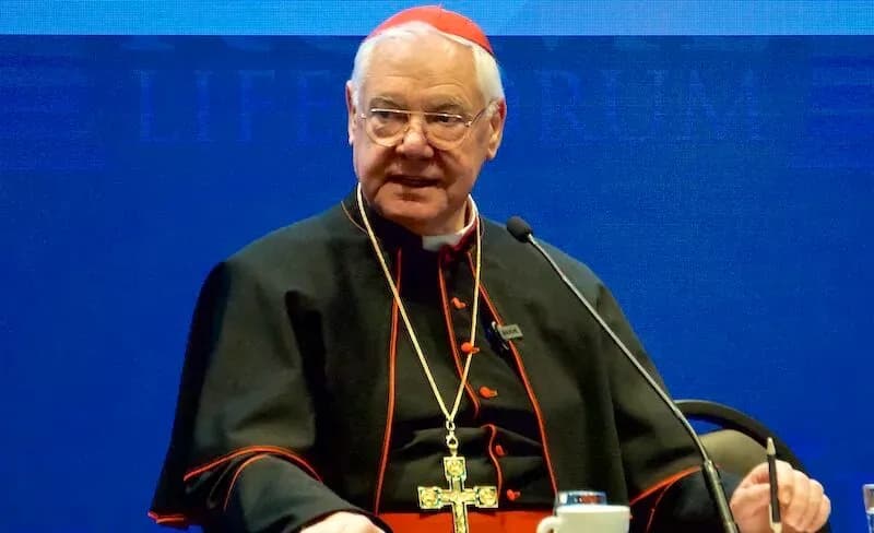 Cardinal Müller says it would be 'catastrophic' for conclave to elect 'heretic pope'