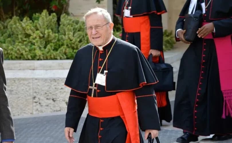 Cardinal Kasper says papal conclave may stall if ‘conspiratorial group’ blocks vote