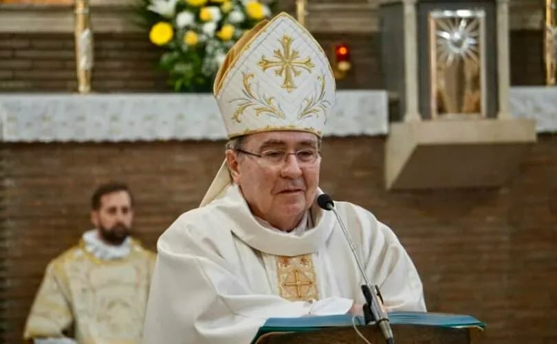 US papal nuncio says 'I don't see any flaw in Pope Francis'