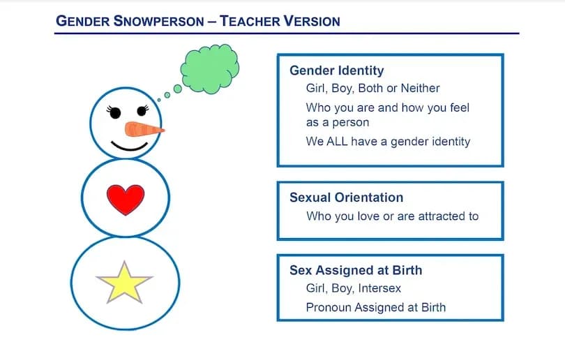 New report exposes Maine's woke, pro-LGBT education system after Trump confronts governor