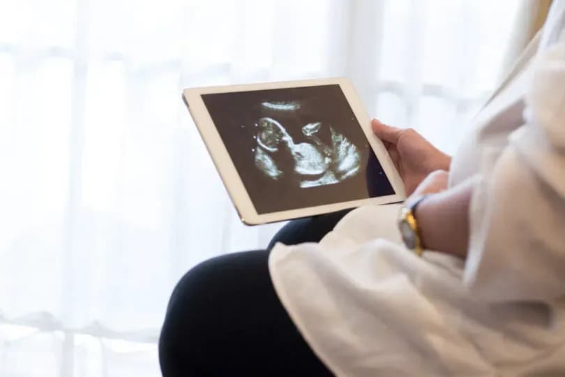 Listen to 6 powerful abortion testimonies at Canada's March for Life this week