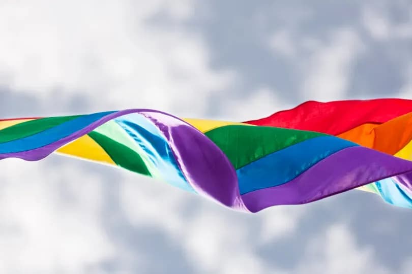 LGBT activists show us why 'pride' flag bans are hardly a minor issue