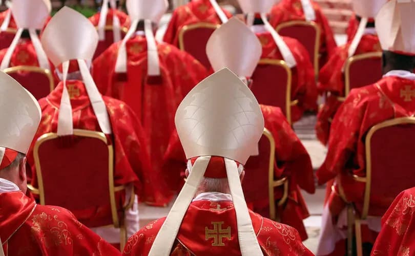 Rome's cardinal fears Church 'reform' in jeopardy, urges continuation of Francis' legacy