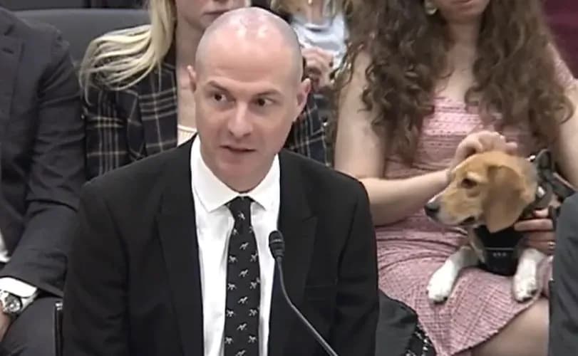 Dr. Fauci accused of wasting millions in taxpayer dollars on 'transgender animal experiments'