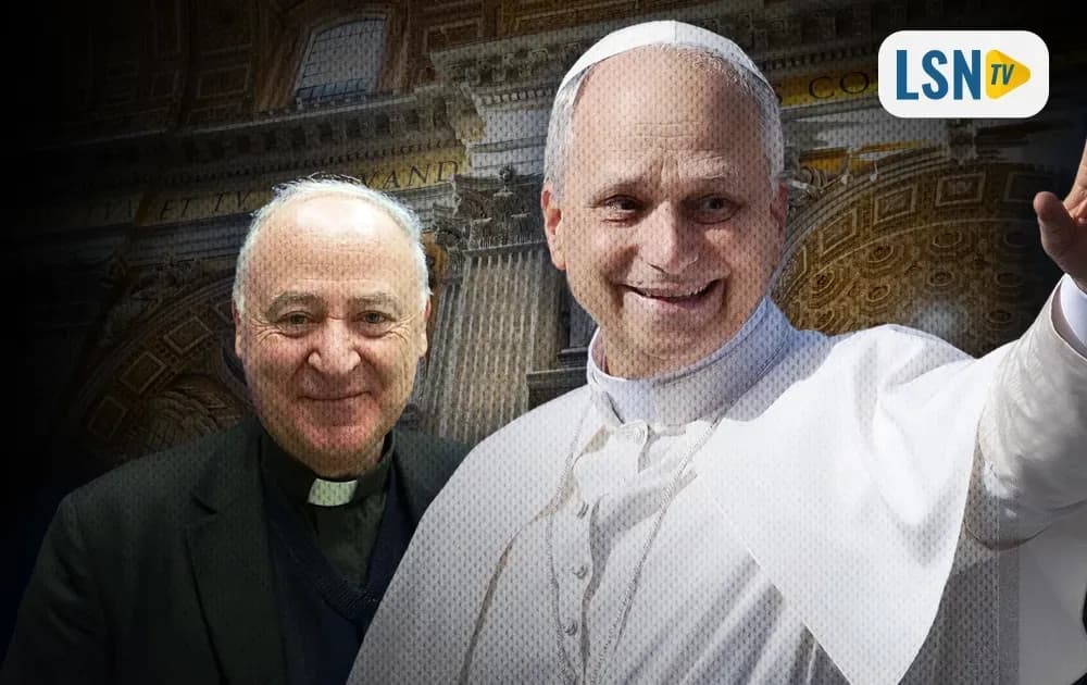 A heartfelt plea to Pope Leo XIV to make the Pontifical Academy for Life Catholic again