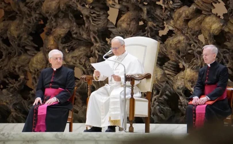 Pope Leo XIV urges journalists to build 'peace,' 'search for truth' in first audience