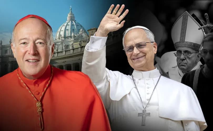Heterodox Cardinal McElroy believes Pope Leo XIV will continue Francis' progressive legacy