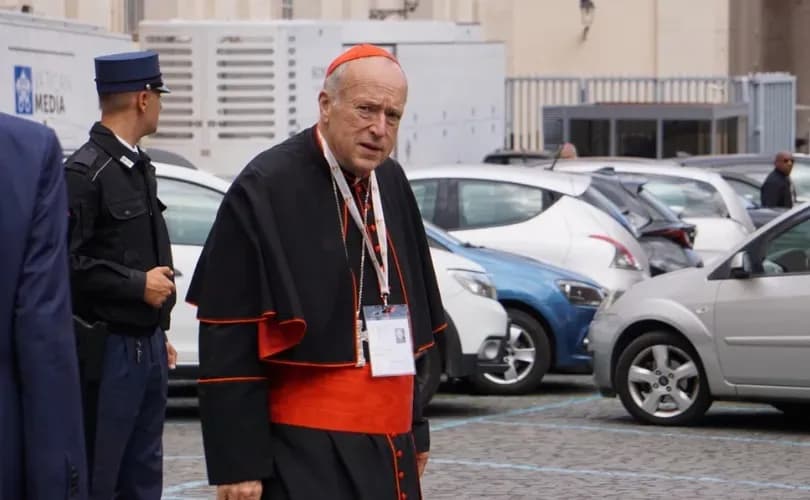Cardinal McElroy calls Pope Francis’ ‘enduring legacy’ his ‘vision of a Synodal Church’