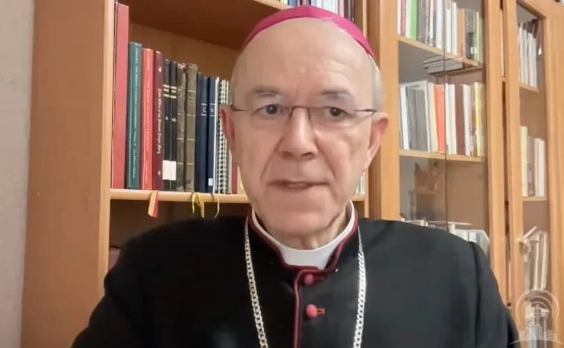 Bishop Schneider urges Pope Francis to 'retract' texts undermining the faith