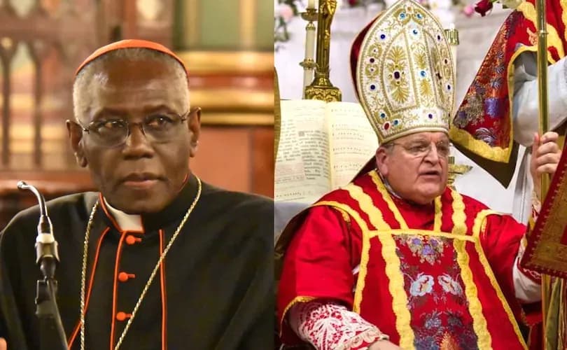 WATCH: Cardinals Burke, Sarah arrive to Vatican together after Pope Francis' death