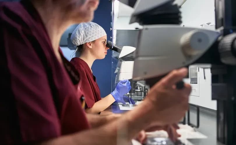 Devastating IVF bungles are leading to babies being implanted in the wrong mother