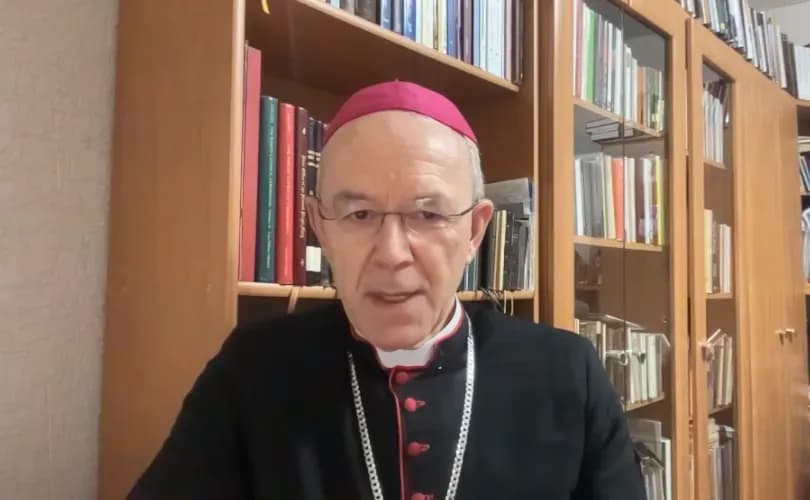 EXCLUSIVE: Bishop Schneider says elites use mass migration to destroy Europe's Christian identity