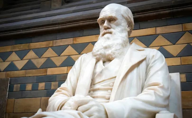 Pope Pius XI refuted Darwinism 100 years ago, but his lessons have not been learned