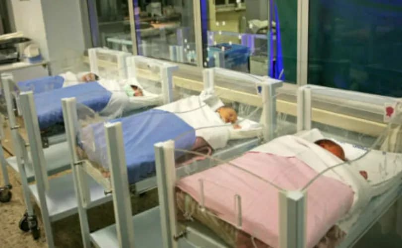 Births increased 2.8% in states with abortion bans after reversal of Roe v. Wade: study