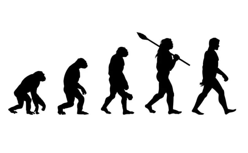 Pope Pius XI firmly rejected Catholic support for theistic evolution in the 20th century
