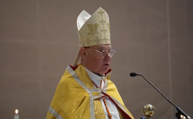 Cardinal Müller: We need a 'successor of Peter' not of one man's 'private ideas'