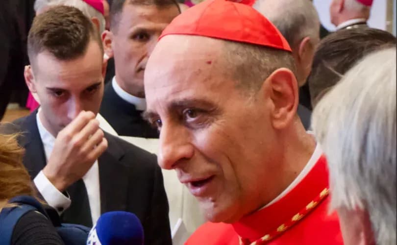 Cardinal Fernández defends slow Rupnik investigation by saying other cases are worse