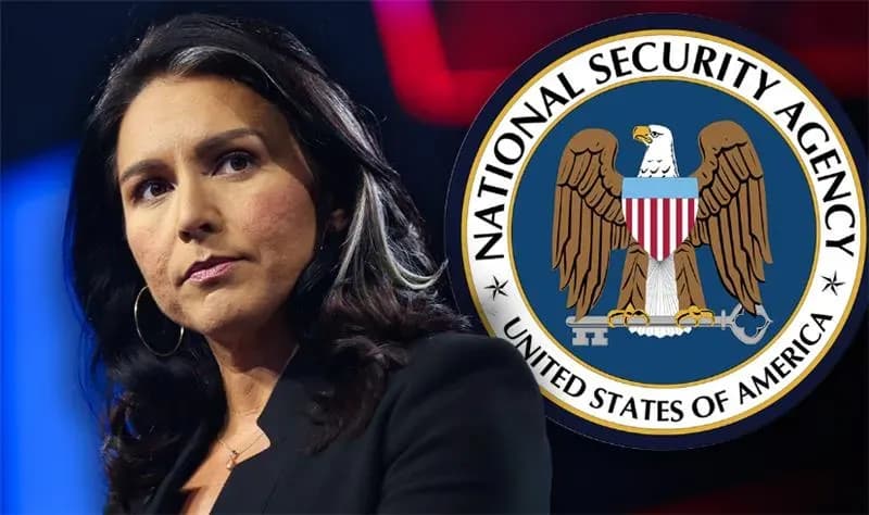 Tulsi Gabbard fires 100+ NSA officials involved in sexually graphic secret group chat