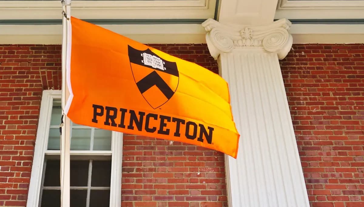 Princeton staff were told to ignore negative references for women, minority candidates
