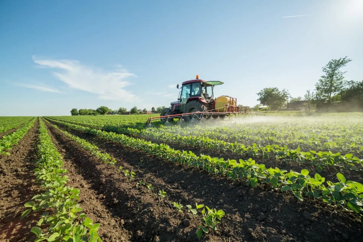 3 Chinese nationals caught smuggling potential agricultural bioweapons into US