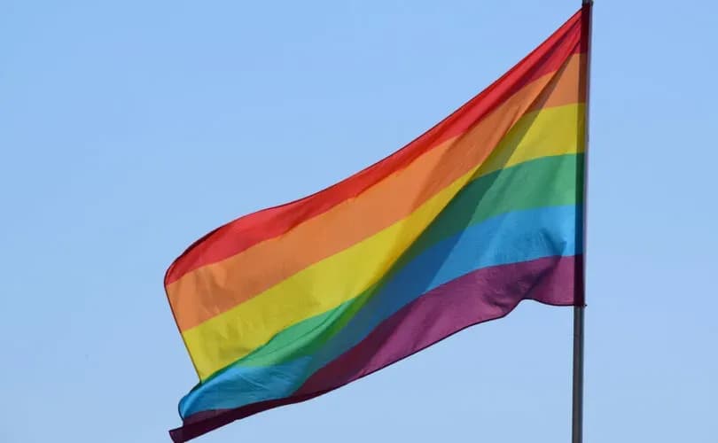 Green politician attacks Campaign Life Coalition for opposing LGBT 'pride' flag at Catholic schools