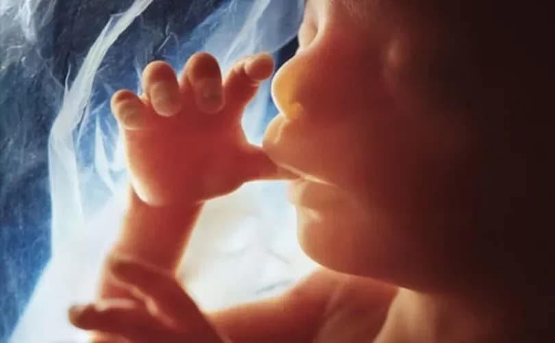 Government-funded Canadian group boasts about procuring late-term abortion for immigrant woman