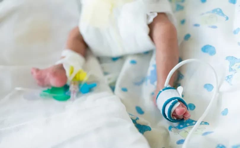 Florida punishes restraining and abandoning a dog more severely than aborting a baby