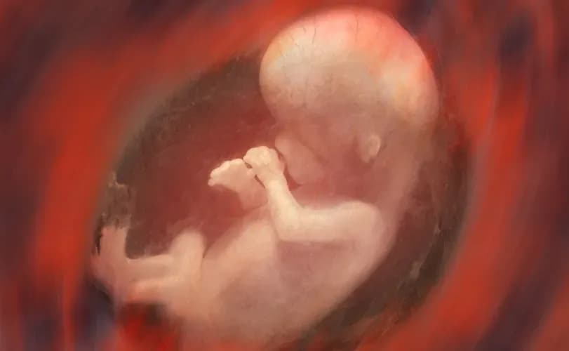 Oregon lawmakers slammed for withdrawing maternal healthcare proposal in pro-life, rural area