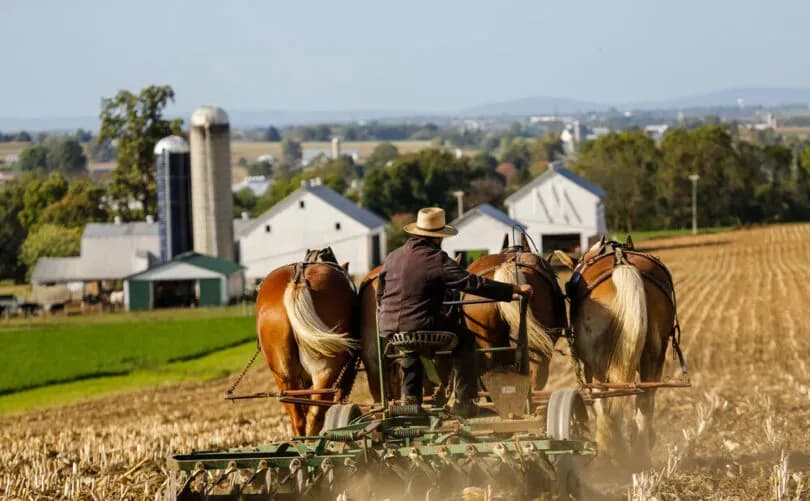 Canadian Amish fined $20k for not using COVID travel app suffer legal setback