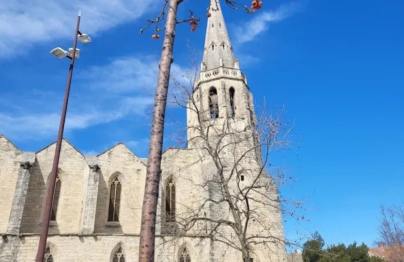 Another Catholic church attacked by Islamists in disturbing trend across France