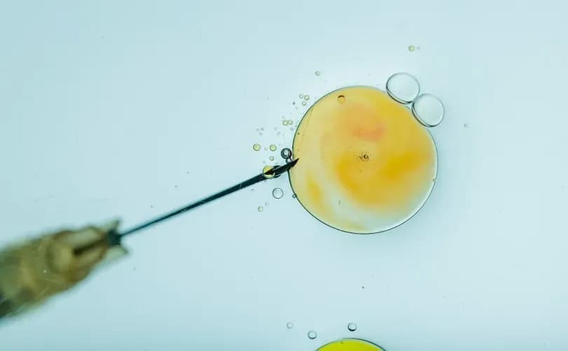 Trump White House considers declaring IVF ‘essential health benefit’ under Obamacare: report