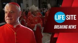 Thumbnail for BREAKING | Cardinal Müller: A liberal pope could SPLIT the Church