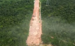 Thumbnail for 'Hypocrisy': Thousands of trees cut down in Amazon to build road for UN climate conference