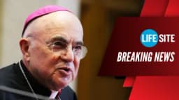 Thumbnail for BREAKING: Archbishop Viganò accuses Pope Francis of supporting 'Davos elites' & 'New World Order'