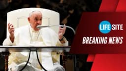 Thumbnail for BREAKING: Pope Francis attacks critics of homosexual blessings as ‘small ideological groups’