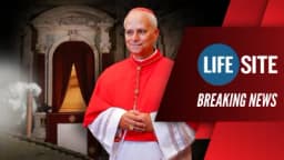 Thumbnail for BREAKING: Leo XIV an anti-Trump American, who urged invalid Confession by phone during COVID?