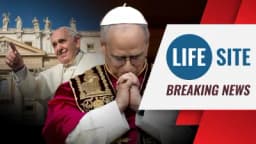 Thumbnail for BREAKING: Pope Leo XIV CORRECTS the record on cohabitation & marriage