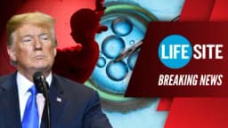 Thumbnail for BREAKING: Trump Touts Support For IVF, Abortion in Various Circumstances