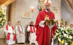 Thumbnail for Female Anglican bishop 'concelebrates' Mass with Catholic priests