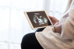 Thumbnail for Victory for pro-life pregnancy centers as Vermont caves on ‘discriminatory’ speech law