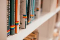 Thumbnail for With 'Pride Month' looming, Alberta takes on pornographic books in school libraries