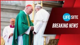 Thumbnail for Vatican preparing document for couples living in ‘new unions’ after ‘marriage failure’