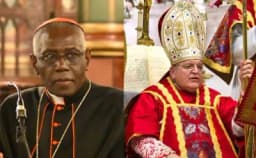 Thumbnail for WATCH: Cardinals Burke, Sarah arrive to Vatican together after Pope Francis' death