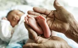 Thumbnail for Elderly UK couple allowed to raise surrogate baby born in US despite judge's misgivings
