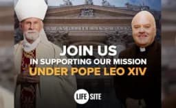 Thumbnail for It’s time to renew our mission for the truth under Pope Leo XIV