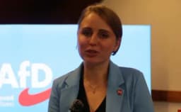 Thumbnail for German AfD politician under 'hate speech' investigation after exposing LGBT ties to pedophile lobby